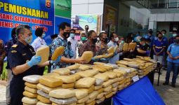Bea Cukai di Banten dan Aceh Musnahkan Ratusan Kilogram Ganja - JPNN.com