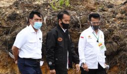 Kenapa Jokowi Lebih Percaya Luhut ketimbang Airlangga? Konon Inilah Alasannya - JPNN.com