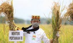 Suryo Minta Bulog Serap Hasil Panen Raya Padi di Jawa Tengah - JPNN.com