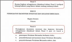Tak Perlu Gaduh, Kesalahan Redaksional UU Ciptaker Bisa Diperbaiki - JPNN.com