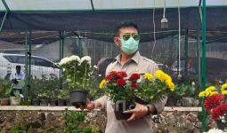 Mentan SYL dan Menko Airlangga Lepas Ekspor Florikultura ke 20 Negara - JPNN.com