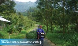 Situasi Gunung Merapi Belum Terlalu Menakutkan Buat Warga Sidorejo, Ini Ceritanya - JPNN.com