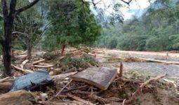 Banjir Bandang Menerjang Landak River Bahorok, Belasan Warung dan Hewan Ternak Hanyut - JPNN.com