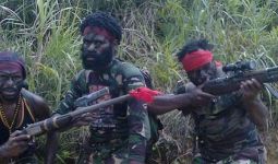 KKB Tembak Warga Asli Papua di Ilaga, Begini Analisis Kolonel Suriastawa - JPNN.com
