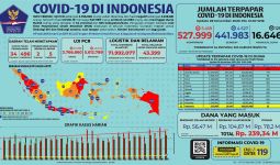 Alhamdulillah, Pasien Covid-19 Sembuh Terus Bertambah, Total Menjadi 441.983 - JPNN.com