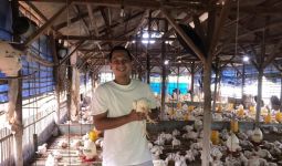Kisah Pengusaha Mobil Mewah Lulusan Amerika, Pilih Beternak Ayam demi Memajukan Desa - JPNN.com