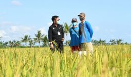 BBPP Batu Menggembleng Daya Saing Puluhan Ribu Petani dan Penyuluh Pertanian - JPNN.com