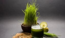 4 Manfaat Minum Jus Rumput Gandum, Mencengangkan - JPNN.com