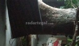 Tiba-Tiba Pohon Tumbang Menimpa Rumah Husen dan Duriah - JPNN.com