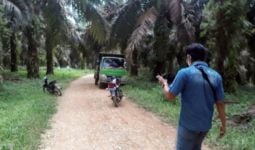 Ditodong Perampok Bersenpi, Sopir Truk Buah Sawit Diikat Lalu Dibuang ke Hutan - JPNN.com