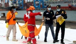 Kabasarnas: Telah Ditemukan 19 Kantong Berisi Jenazah, 10 Potongan Pesawat - JPNN.com