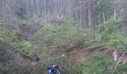 Puluhan Pohon Tumbang, 3 Desa di Cianjur Terasing - JPNN.com