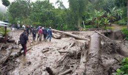 Ini Dugaan Awal Penyebab Tragedi di Gunung Mas Puncak - JPNN.com