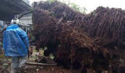 Puncak Bogor Bencana Lagi, Habis Banjir Bandang Kini Longsor - JPNN.com
