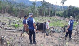 Harimau Sumatera Teror Warga Mukomuko - JPNN.com