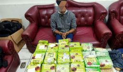 Detik-detik Penyelundup Narkotika yang Diperintah Abang dari Malaysia Diringkus Bea Cukai - JPNN.com