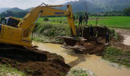 Banjir Tak Kunjung Surut, Distan Tulungagung: 116 Hektare Sawah Dipastikan Puso - JPNN.com