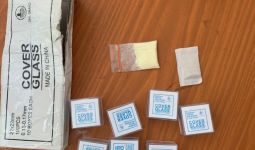 Bea Cukai Bogor Gagalkan 2 Penyelundupan Narkotika - JPNN.com