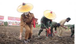 Bupati Karolin Tanam Perdana Jagung di Desa Amboyo Inti, Nih Penampakannya - JPNN.com