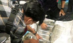 Operasi Gempur Rokok Ilegal, Bea Cukai Jambi Gagalkan Penyelundupan Benih Lobster - JPNN.com