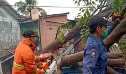 Hujan Badai Guyur Kota Bekasi, Banyak Pohon Tumbang - JPNN.com