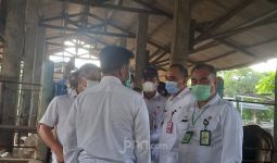 Kementan Antisipasi Lonjakan Permintaan Daging Sapi Jelang HBKN - JPNN.com