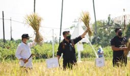 Gairahkan Perekonomian, Mentan Syahrul Yasin Limpo Kembangkan Agrowisata Sawah - JPNN.com