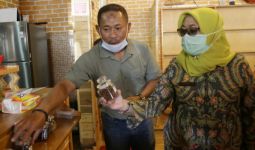 Pandemi Covid-19 P4S Rahayu Tani Tetap Berikan Performa Baik, Efisiensi hingga 15 Persen - JPNN.com