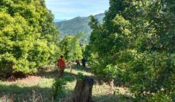 Hari Kelima, Basarnas Libatkan 60 Orang Cari Lansia yang Hilang di Hutan Kolaka - JPNN.com