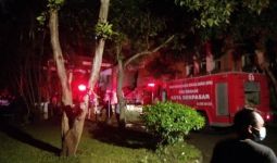 Polresta Denpasar Usut Penyebab Kebakaran di Kantor KLHK Bali-Nusra  - JPNN.com