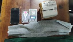 Bea Cukai Bongkar Penyelundupan Narkotika Bermodus Paket Kiriman - JPNN.com