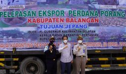 Bea Cukai Fasilitasi Ekspor Umbi Porang Kalimantan ke Jepang - JPNN.com