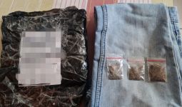 Bea Cukai Bogor Gagalkan 3 Pengiriman Narkotika Melalui Perusahaan Jasa Titipan - JPNN.com