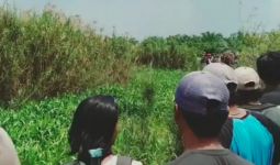 Detik-detik Umar Bahuri Hilang Diseret Buaya ke Saluran Irigasi - JPNN.com