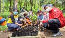 KLHK Lanjutkan Kebijakan PEN dengan Tingkatkan Peran Masyarakat ke Agroforestri - JPNN.com