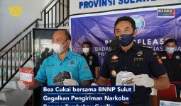 Bea Cukai dan BNNP Sulut Menggagalkan Pengiriman Tembakau Gorila ke Tondano - JPNN.com