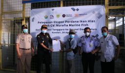 Bea Cukai Kendari Fasilitasi Ekspor Perdana Ikan Hias ke Brunei Darussalam - JPNN.com