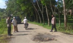 Kecelakaan Maut di Aceh Timur, Dua Orang Tewas, Tiga Kritis - JPNN.com