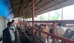 Kunjungi RPH, Kementan Pastikan Ketersediaan Daging Sapi Aman untuk Lebaran - JPNN.com