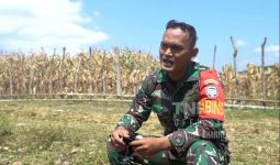 Prajurit TNI AD Ini Ubah Ladang Ganja Jadi Kebun Jagung - JPNN.com