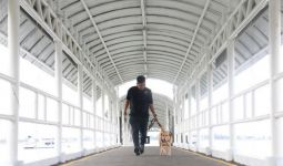 Bea Cukai Optimalkan Peran Anjing Pelacak dalam Deteksi Narkoba - JPNN.com