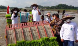 Hasil Produktivitas Tanaman Petani Meningkat, Pupuk Indonesia Perluas Program Agro Solution - JPNN.com