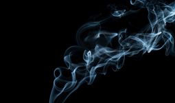 Ingin Berhenti Merokok tetapi Tak juga Berhasil? Coba Ikuti Saran Spesialis ini - JPNN.com