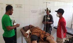 Asisten Pawang Diserang Gajah Liar, Begini Kondisinya - JPNN.com