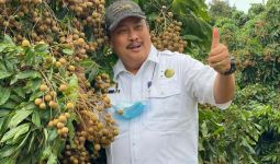Mengenal Kebun Kelengkeng Grobogan, Wisata Pertanian yang Menjanjikan Prospek Ekonomi - JPNN.com