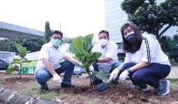 Tanam 4.500 Pohon Ketapang, FIF Group Pecahkan Rekor MURI - JPNN.com
