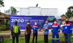 PGE Ulubelu Bagikan 3.000 Bibit Alpukat RATU untuk Masyarakat - JPNN.com