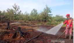 Api Melalap Kawasan Hutan Lindung, Tim Gabungan Langsung Diterjunkan - JPNN.com