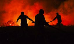 Tak Ada WNI yang Terkena Dampak Kebakaran Hutan di Turki - JPNN.com