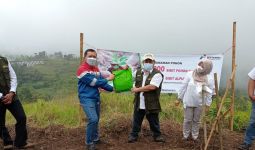 PGE Turun Tangan, Lahan Kritis di Tasikmalaya Diguyur Bibit Pohon - JPNN.com